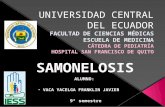 Salmonelosis U.C.E.  Hospital San Francisco de Quito - IESS