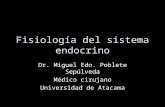 FisiologíA Del Sistema Endocrino