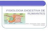 Fisiología digestiva (Poligastrico-Rumiante)