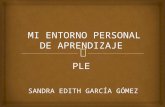 ENTORNO VIRTUAL DE APRENDIZAJE SANDRA EDITH GARCIA GOMEZ