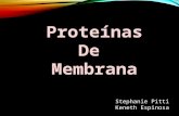 Proteinas de membrana