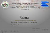 Presentacion ROMA etapa domestica. Evolucion y Tendencia en Enfermeria.
