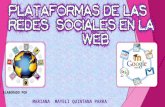Plataformas de Redes Sociales en la Web