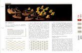 La pasión del ajedrez.[enciclopedia][curso nivel basico].por.r2d2