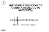 Informe acueducto 2012 final
