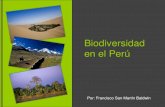 Bioodiversidad peruana