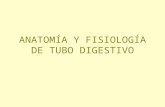 Anatomia y fisiologia_del_tubo_digestivo