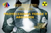 Torax y abdomen diapositivas