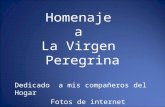 Homenaje A La Virgen Peregrina Pontevedra   SahagúN