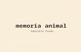 Memoria Animal