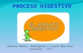 Proceso digestivo laura   helena