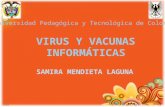 Vacunas y antivirus