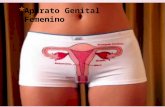 Aparato genital femenino