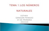 Tema 1: Los números naturales.