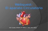 Webquest El aparato circulatorio