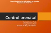 Control prenatal Salud Comunitaria