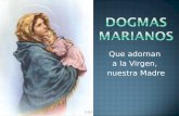 Dogmas marianos -esquema