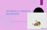 Desarrollo prenatal y nacimiento