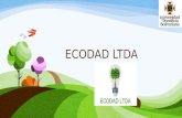 Ecodad Ltda