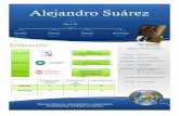 Curriculum Vitae Alejandro Suárez Glez
