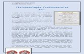 Fisiopatología cardiovascular iii