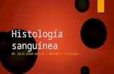 Histología sanguinea