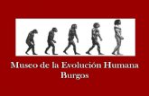 Museo evolución humana (Burgos)