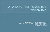 anatomia general aparato reproductor femenino