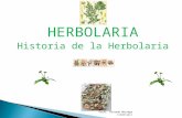 Historia de la herbolaria