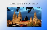 Catedral de santiago_Touro2015