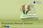 Procesos mevyt virtual 2