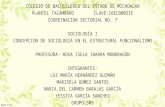 Concepción de sociología en el estructural funcionalismo