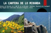 Lo Miranda, Doñihue, Provincia de Cachapoal. VI Region Del Libertador Bernardo O'Higgins.