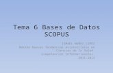 Tema 6 bases de datos scopus