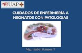 Cuidados de enfermería a neonatos con patologias