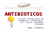 01 Antibioticos