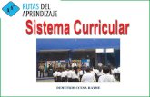 El sistema curricular y las competencias ccesa007