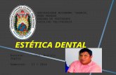 Presentación de la materia de Estética dental I.