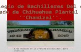 Colegio de Bachilleres Del estado de Chihuahua plantel #19 ''Chamizal''