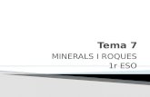 Tema 7 minerals i roques
