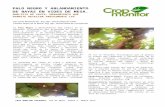 Detección precoz de Palo Negro mediante Analisis de Savia en Uva de Mesa