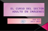 Curso 2013-2014 del sector adulto de EKO-.ACG en imágenes