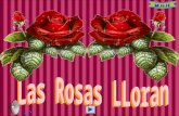1422 las rosas-lloran-(menudospeques.net)