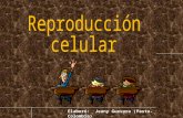 Reproduccion celular1
