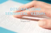 Discapacidad sensorial visual
