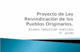 Proyecto de ley Reivindicación de los Pueblos Originarios.