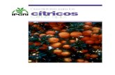 Descriptores para los_cítricos__citrus_spp.__539