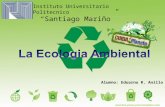 Ecologia: Eduardo Anillo