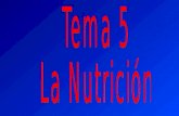 Tema 5 la nutrición