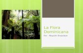 La flora dominicana